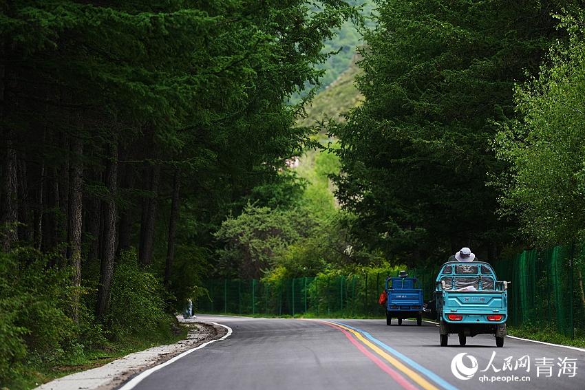 蜿蜒的山路。人民網(wǎng) 陳明菊攝